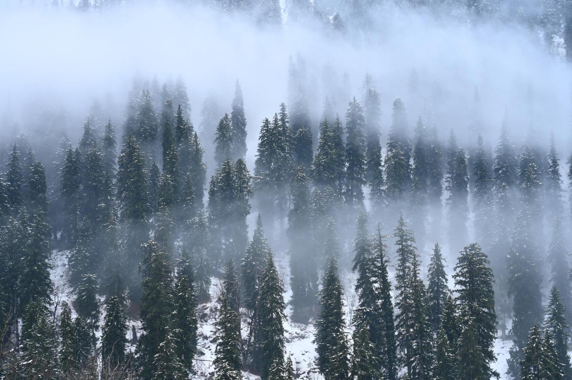 Ahorastays Manali  Exterior photo
